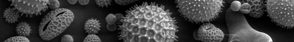 MrReid.org random header image