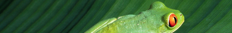 MrReid.org random header image