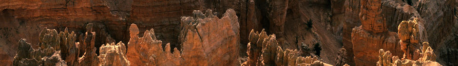 MrReid.org random header image