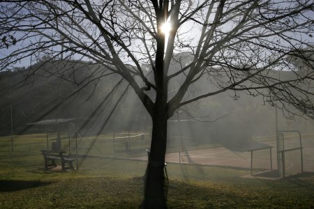 Crepuscular Rays