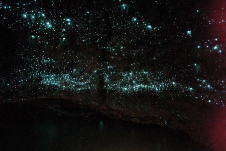 Glowworm cave