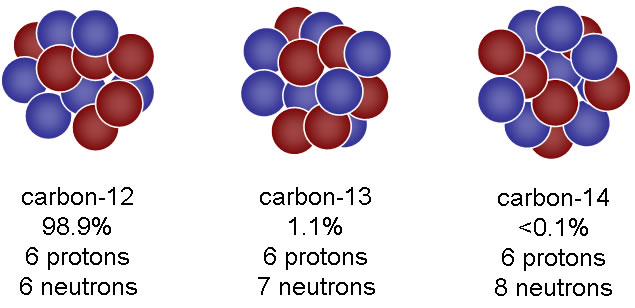 identify two differences between carbon 12 and carbon 14