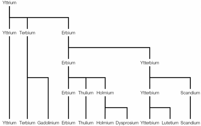 tiger evolution timeline