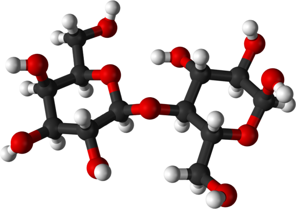 disaccharide-lactose