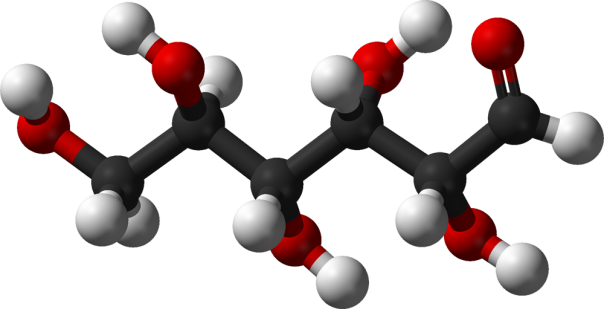 monosaccharide-glucose